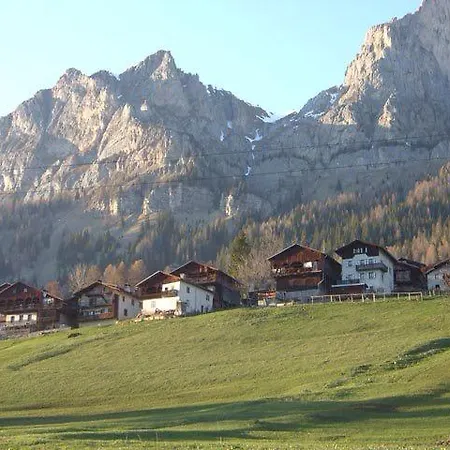 Scoiattolo Selva di Cadore