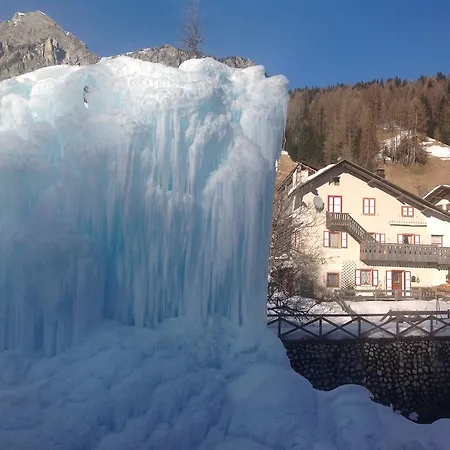 Scoiattolo * Selva di Cadore