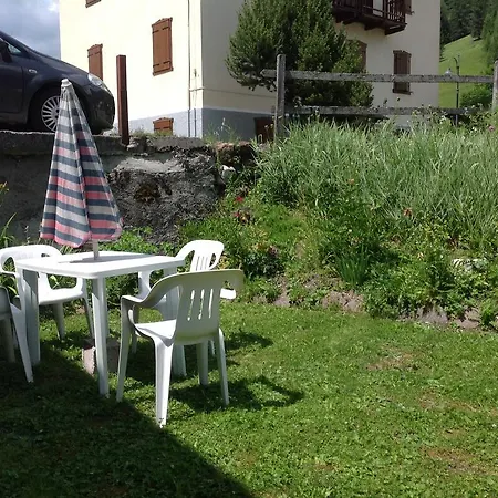 Scoiattolo Selva di Cadore