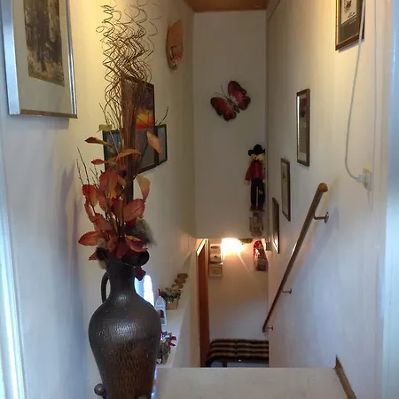Scoiattolo Casa vacanze *